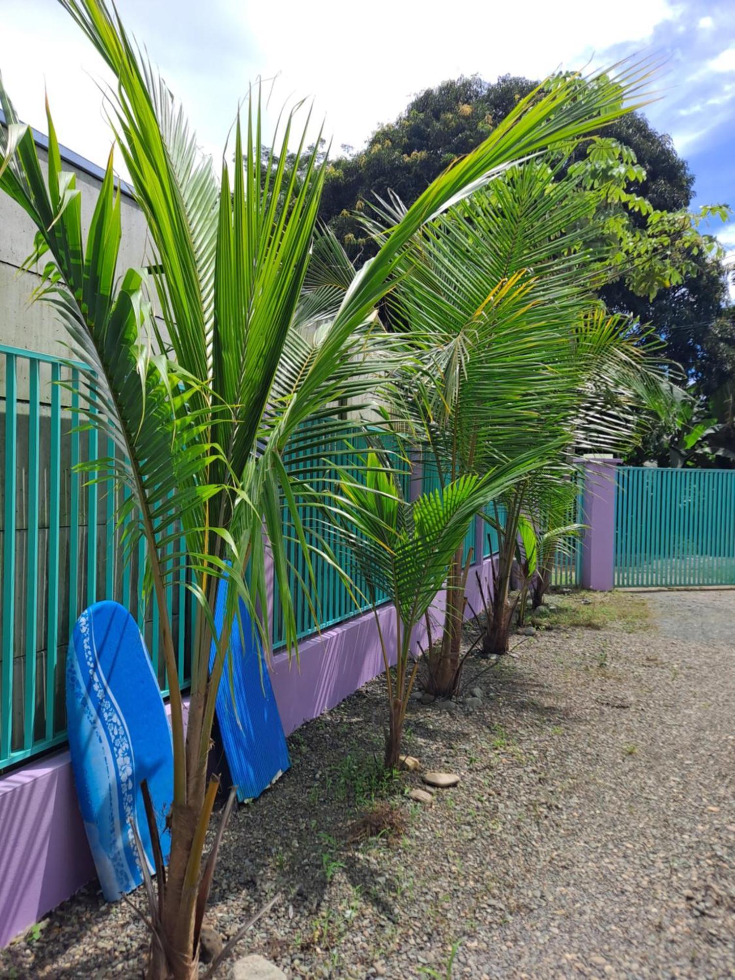 Casa Uvita Bay Kültér fotó